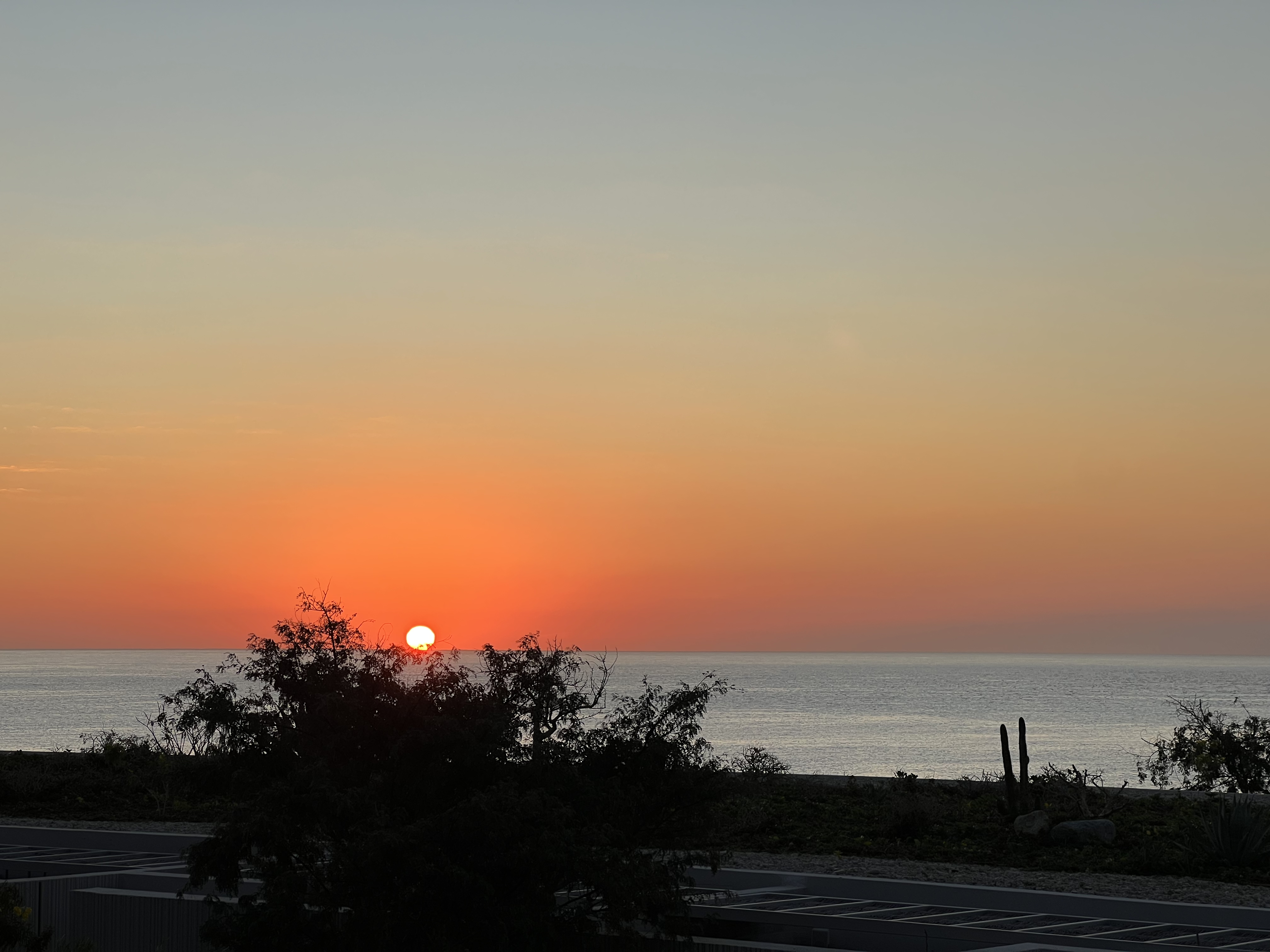 ./2024/13 - Cabo/IMG_4939.jpg